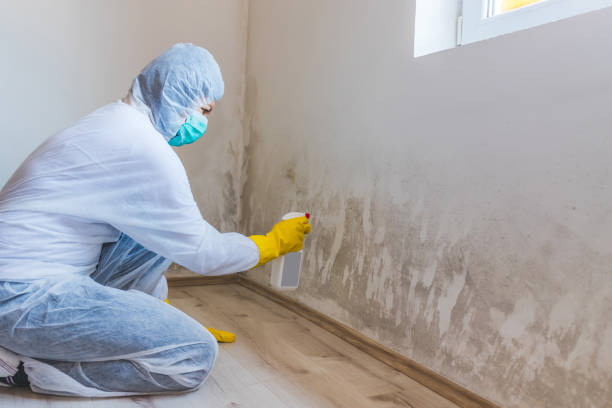 Mold Remediation specialist working in Golf